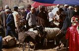 353 Pk-Cina 04 Cina Kashgar sunday market